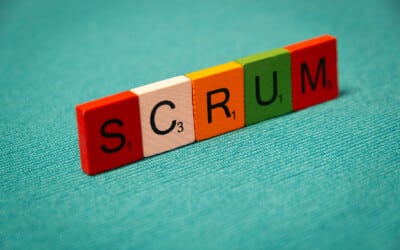Blaue Blume Agil – Scrum Master Ausbildung